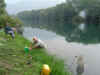 DSC01544.JPG (62198 byte)