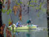 DSC01751.JPG (69440 byte)