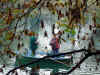 DSC01754.JPG (95874 byte)