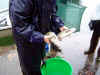 DSC01763.JPG (59870 byte)
