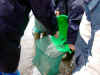 KIF_1363.JPG (47747 byte)