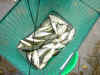 KIF_1371.JPG (68462 byte)