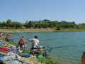 DSC02173.JPG (75477 byte)
