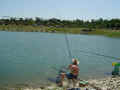 DSC02184.JPG (68758 byte)