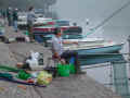 DSC02644.JPG (82756 byte)