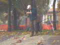 DSC02677.JPG (99762 byte)