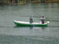 DSC02718.JPG (85681 byte)